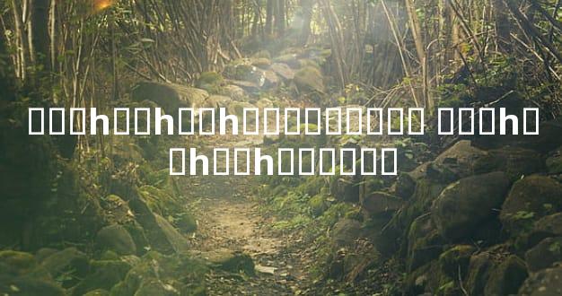 ָ��һ��һ��һ�ֵ������� ָ��һ��һ��һָ����˼